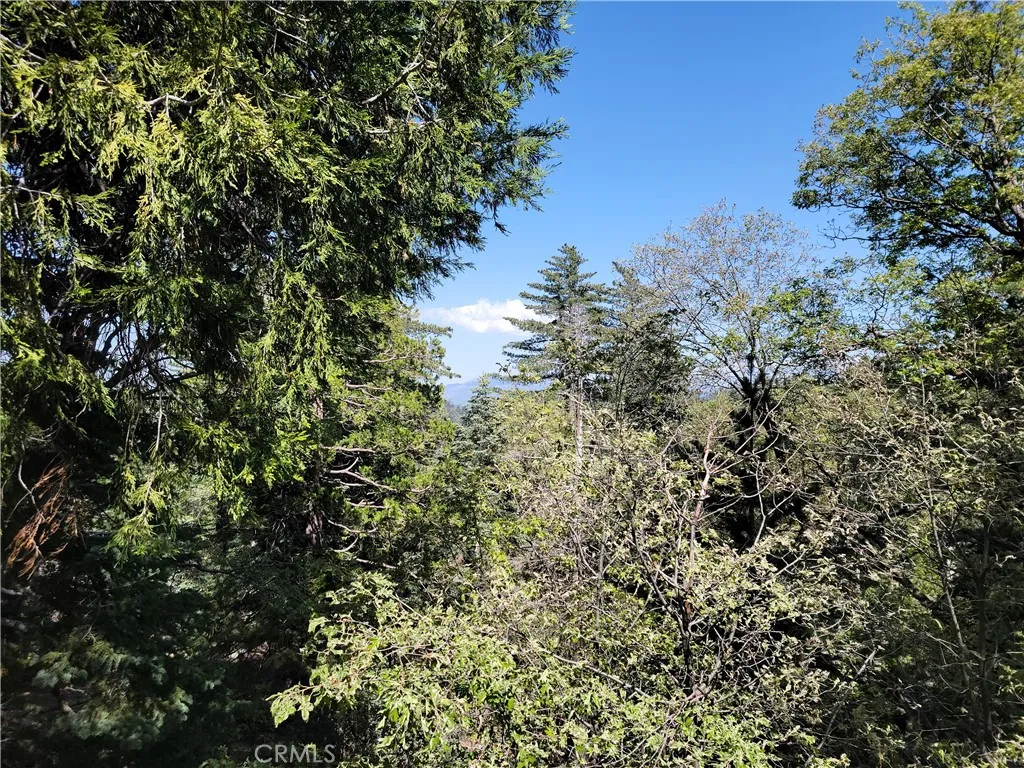 491 Violet Drive, Twin Peaks, California 92391 home-pic-27