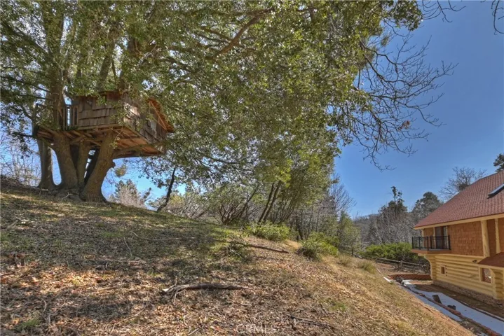 29388 Hook Creek Road, Cedar Glen, California 92321