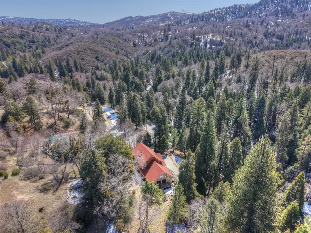 Aerial drone photo