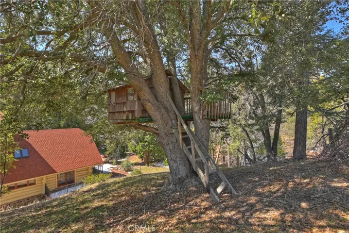 29388 Hook Creek Road, Cedar Glen, California 92321