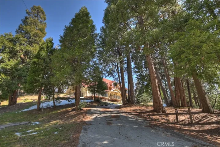 29388 Hook Creek Road, Cedar Glen, California 92321