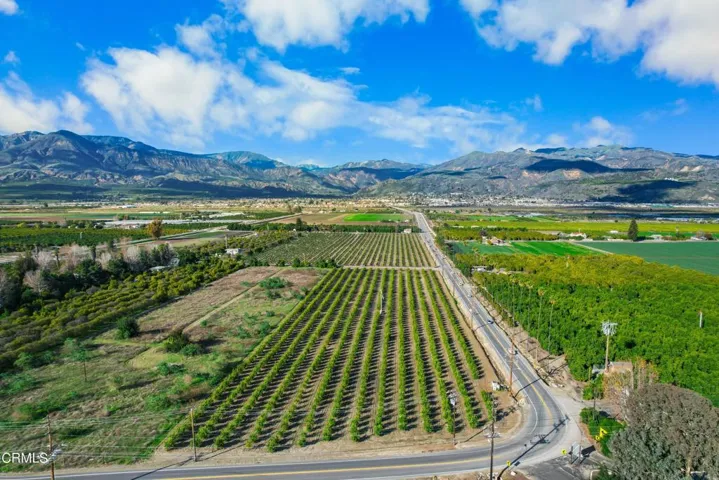 DJI_0354