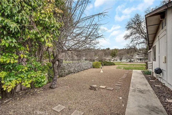 Huge side yard