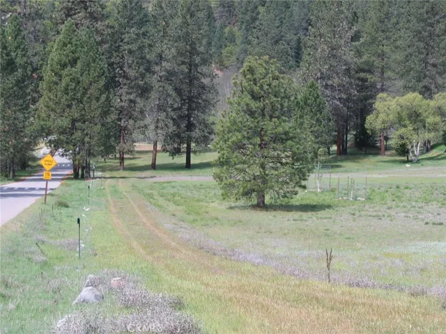 View from Goose Ranch Rd toward back of property