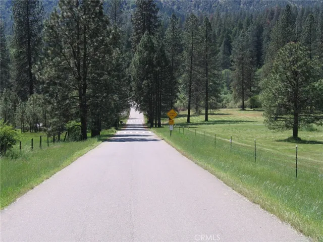 Salt Flat Rd. next to property (on right)