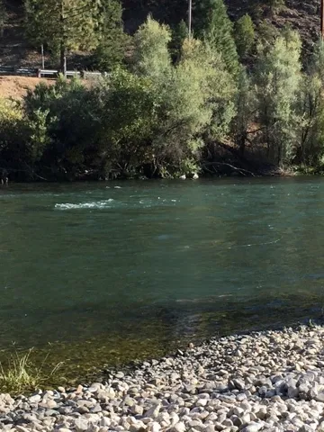 Steelhead Fishing
