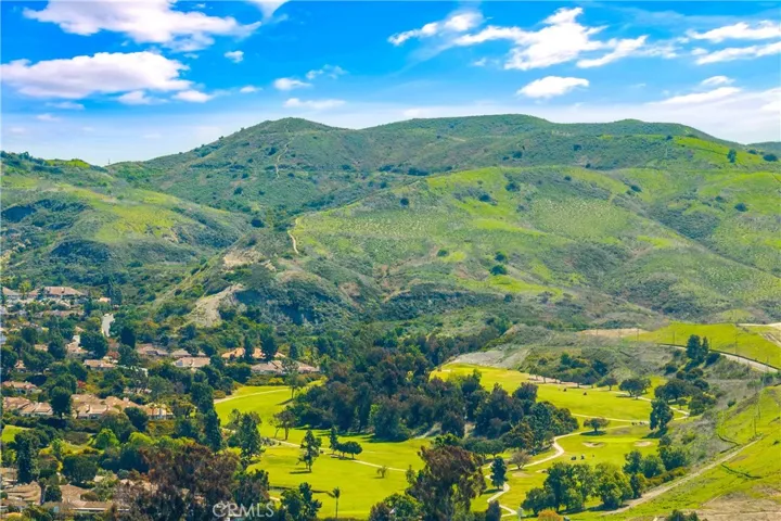 26181 Via De Gavilan, San Juan Capistrano, California 92675