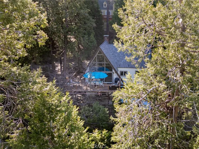Forested views