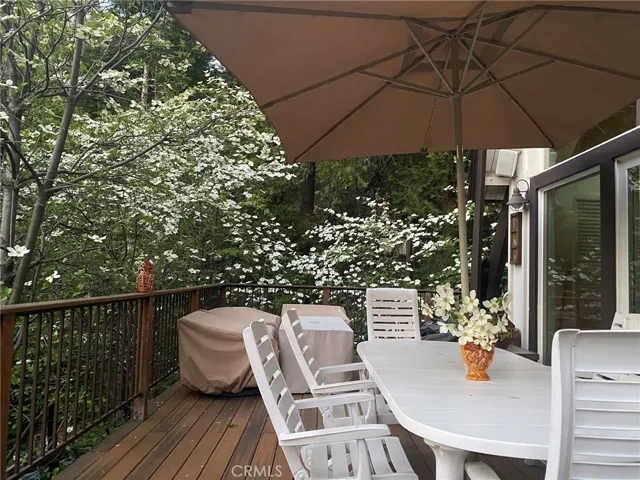 I told you, Dogwoods in bloom