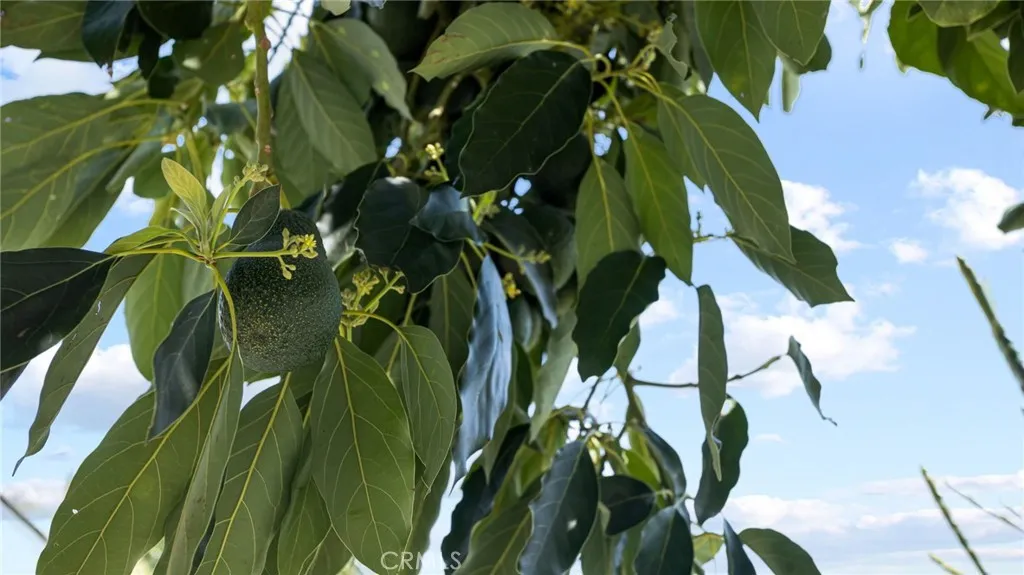 2901 Huston Street, Pomona, California 91767 home-pic-36