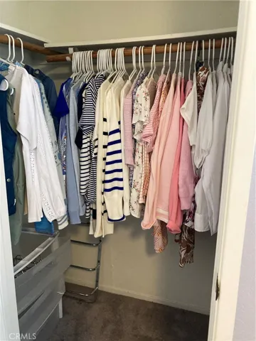 Walk in Closet in Second Bedroom