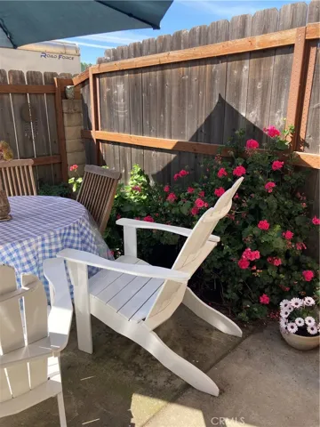 Sunny Outdoor Back Patio