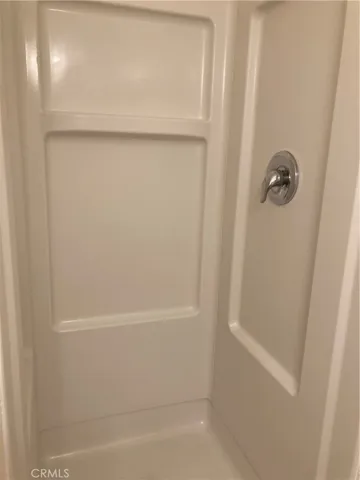 Guest Bath Shower