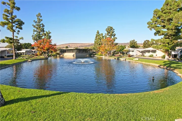 Lilly Pads, Water Fountain, Ducks and Fishing
