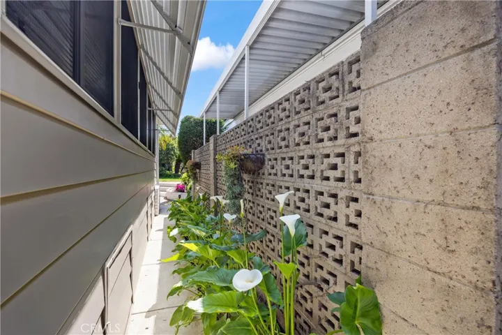 Side Yard Landscaped