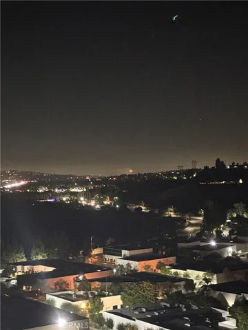 Disneyland Fireworks at Night