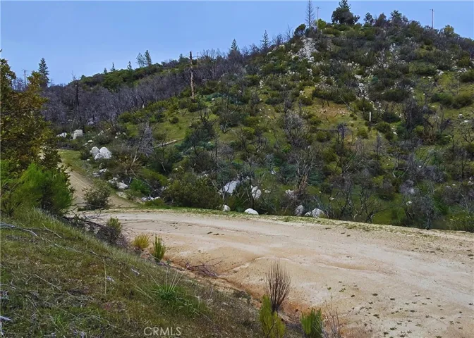 0 Canfield Road, Berry Creek, California 95973