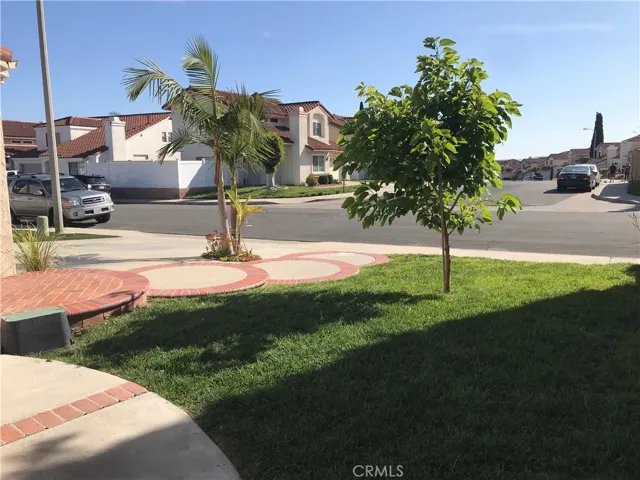 Lush Green Front-Yard!