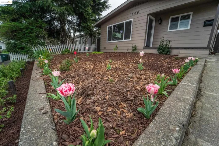 105 Webster St, Petaluma, California 94952