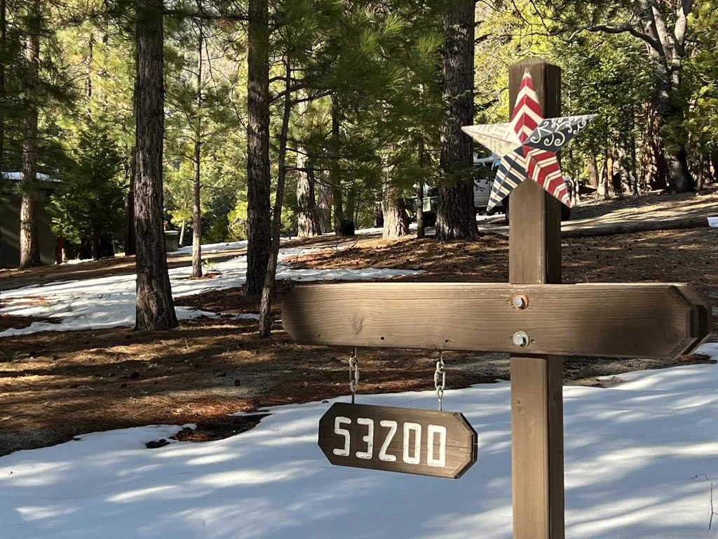 53150 4s02 53150-4s02, Idyllwild, California 92549 home-pic-28