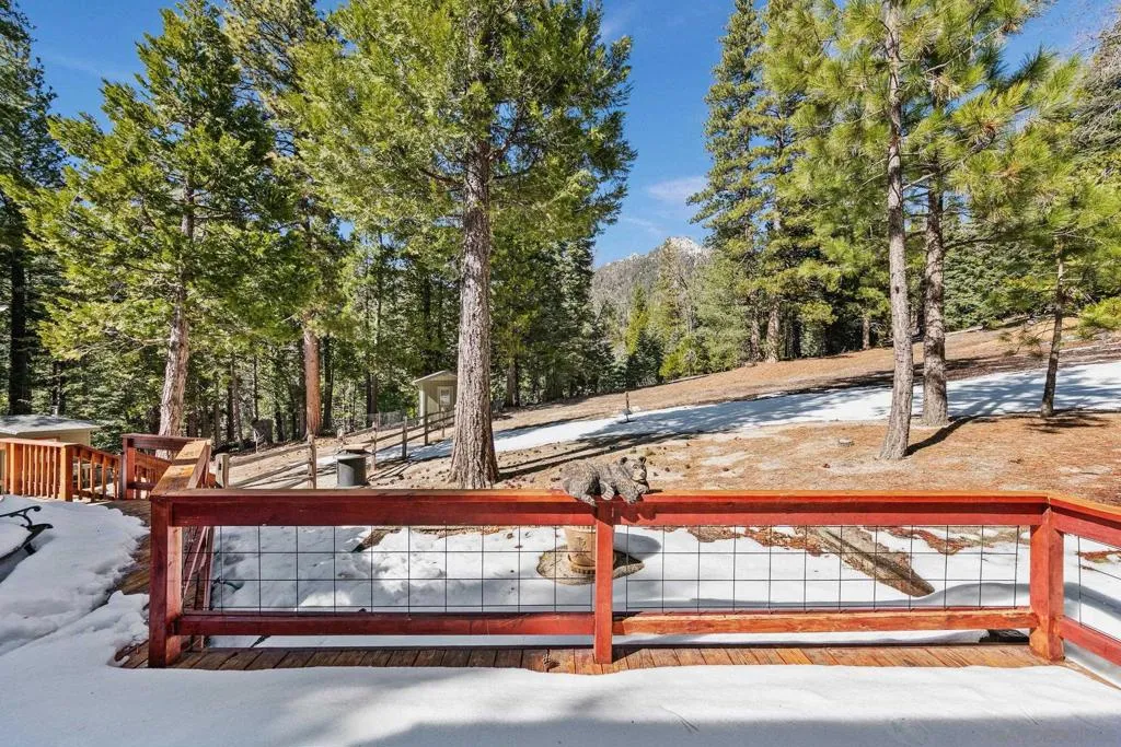 53150 4s02 53150-4s02, Idyllwild, California 92549 home-pic-17
