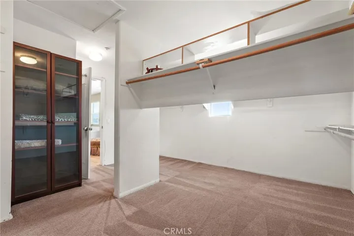 Master Closet 2