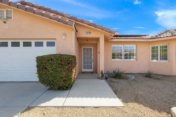 43-web-or-mls-8M4A1042
