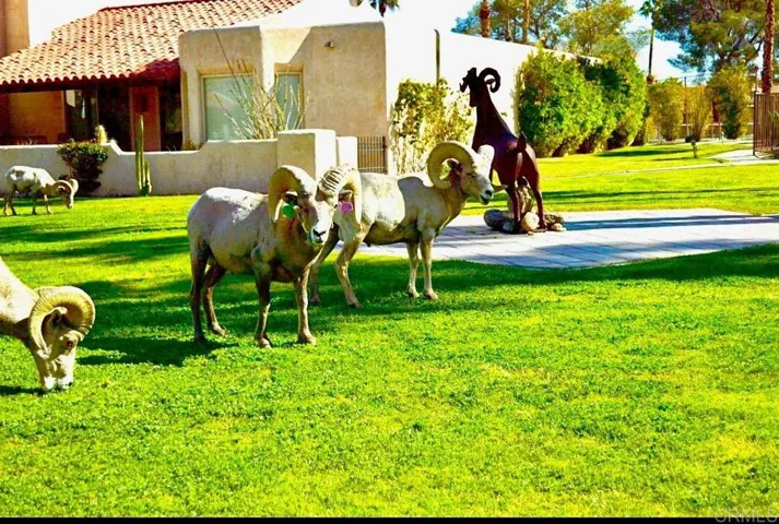 202 Pointing Rock Drive 18, Borrego Springs, California 92004