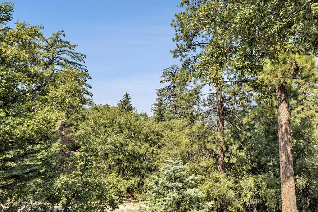 53050 Woodpecker Way, Idyllwild, California 92549 home-pic-26