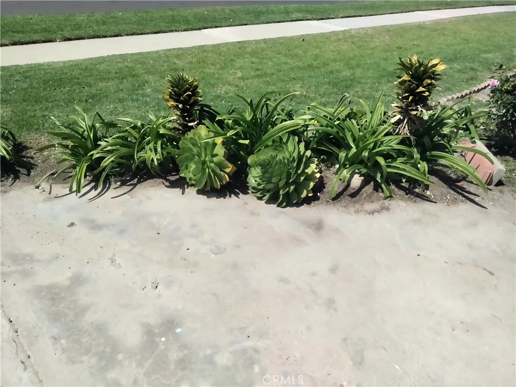 8361 Cerulean Drive, Garden Grove, California 92841 home-pic-31