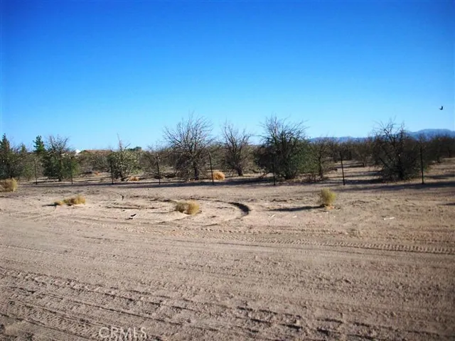 Located across Street from Lake Jody community Most trees are no longer green