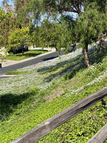 Slope below property