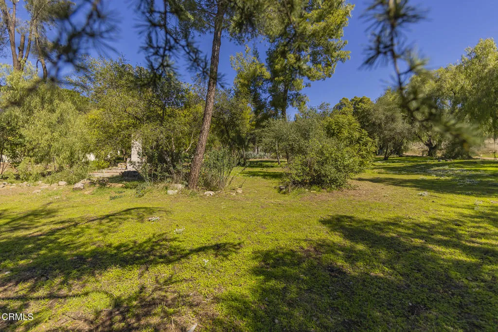 Meadows