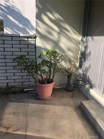 Patio 2