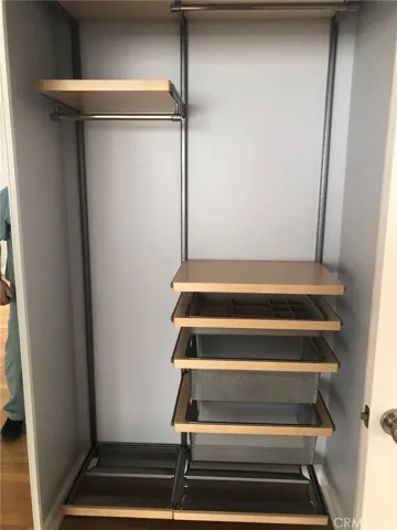 Master Closet 1