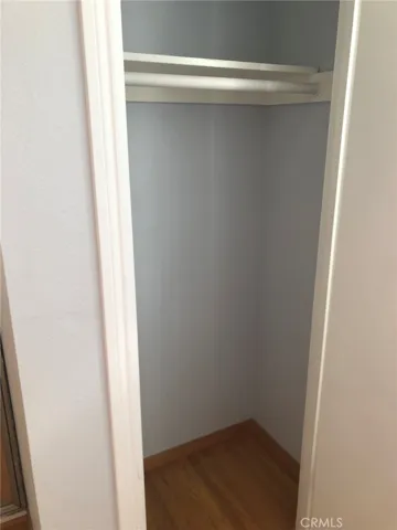 Living Room Guest Closet