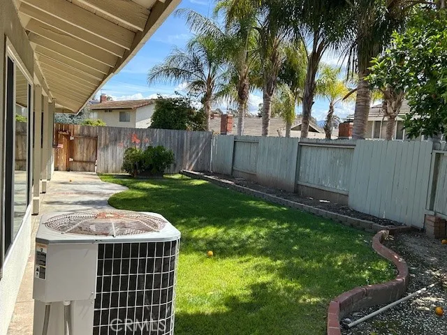 Back yard