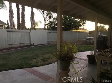 Back yard eve