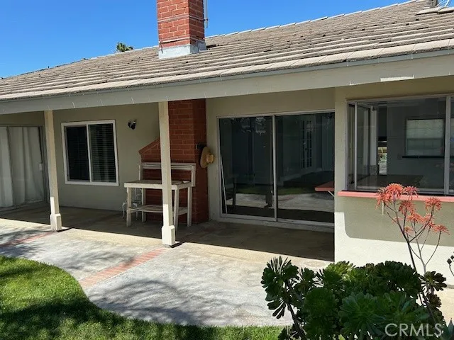 Back yard