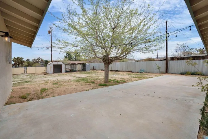 backyard from backdoor