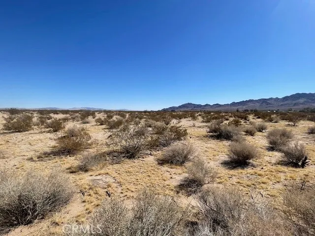 33255 Minneola Rd, Newberry Springs, California 92365