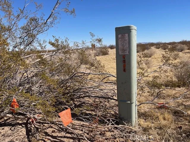 33255 Minneola Rd, Newberry Springs, California 92365