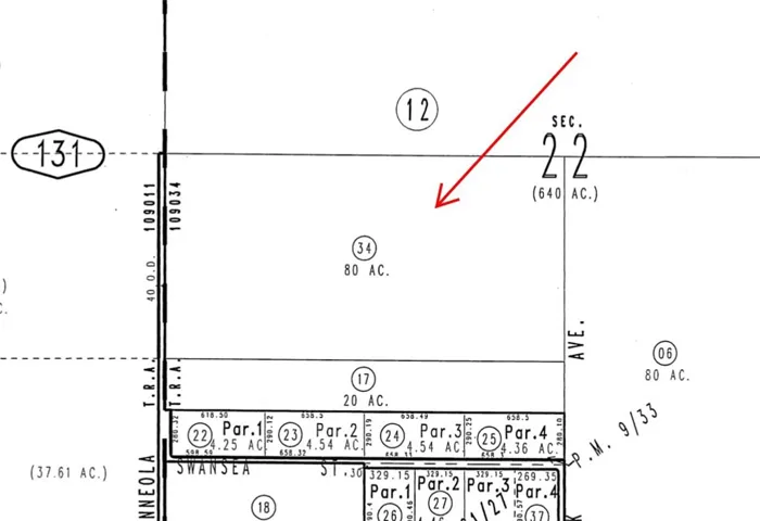 33255 Minneola Rd, Newberry Springs, California 92365