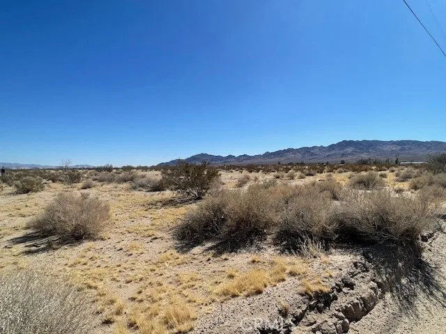 33255 Minneola Rd, Newberry Springs, California 92365