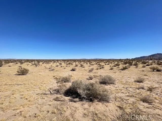 33255 Minneola Rd, Newberry Springs, California 92365