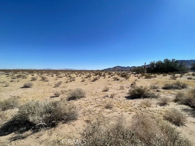 33255 Minneola Rd, Newberry Springs, California 92365