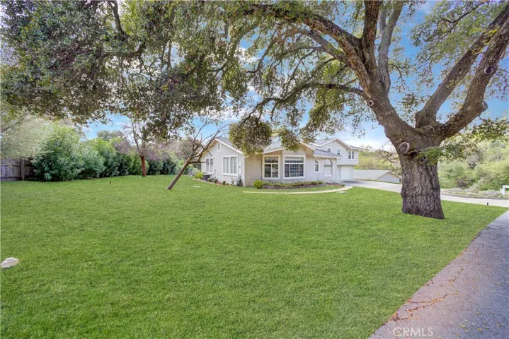 Side Yard