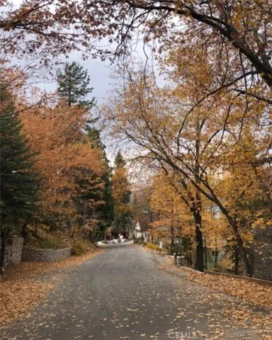 Fall on Bret Harte Road