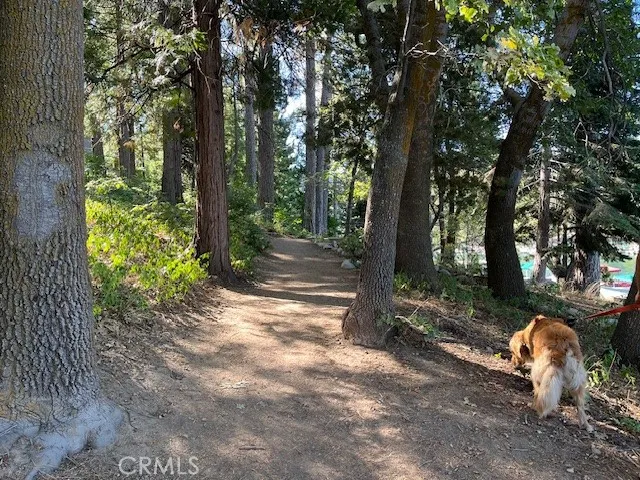 Lakeside Walking Trail