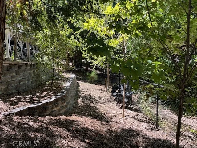 Lower Yard with Fruit Trees